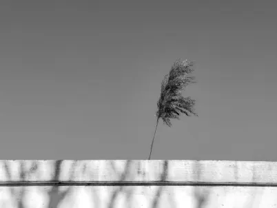 Kasino Classy Slots Mobilní aplikace